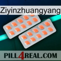 Ziyinzhuangyang 27